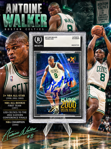 Antoine walker celtics - walker, signed
